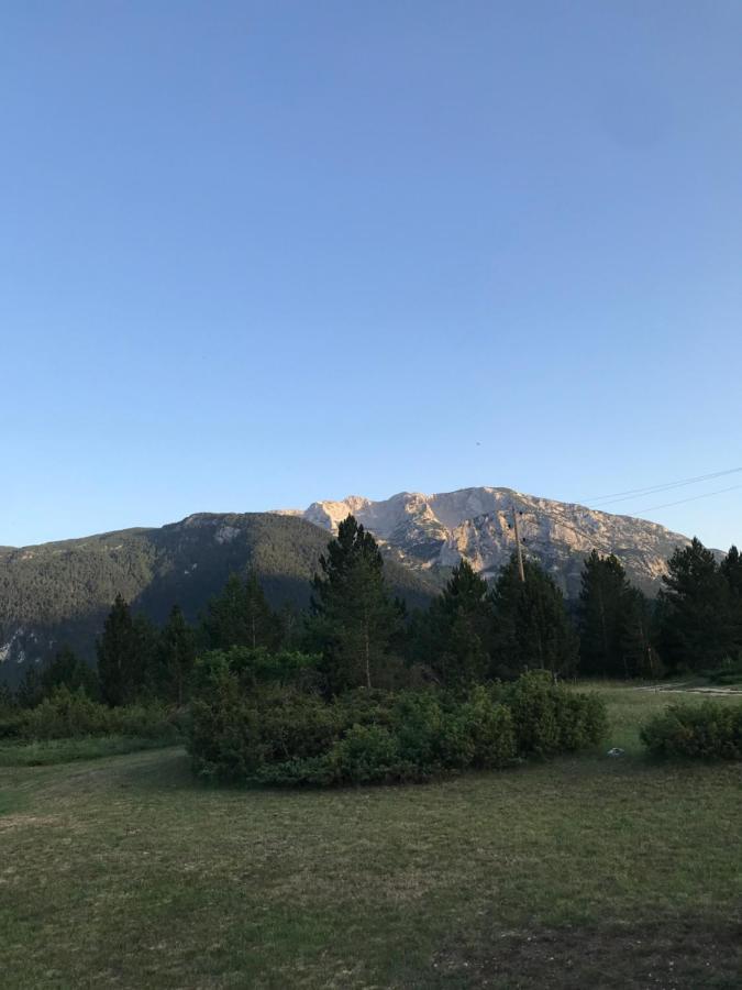 Green Cottage Blidinje Екстериор снимка