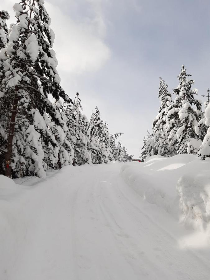 Green Cottage Blidinje Екстериор снимка
