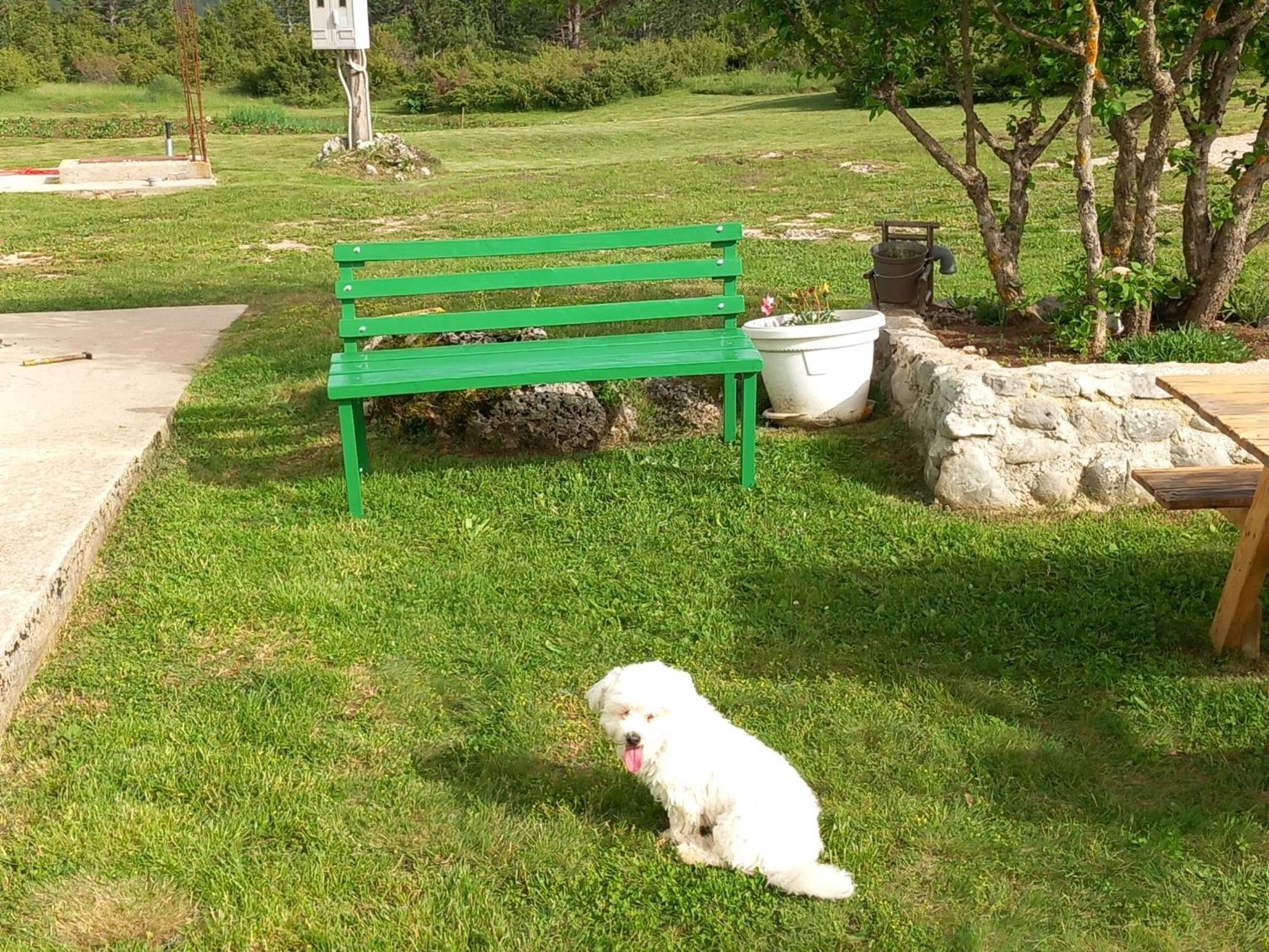 Green Cottage Blidinje Екстериор снимка